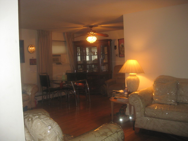 20 E 83rd St, Chicago, IL 60619 photo 3