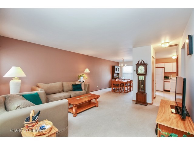 920 Perry Dr, Algonquin, IL 60102 photo 3