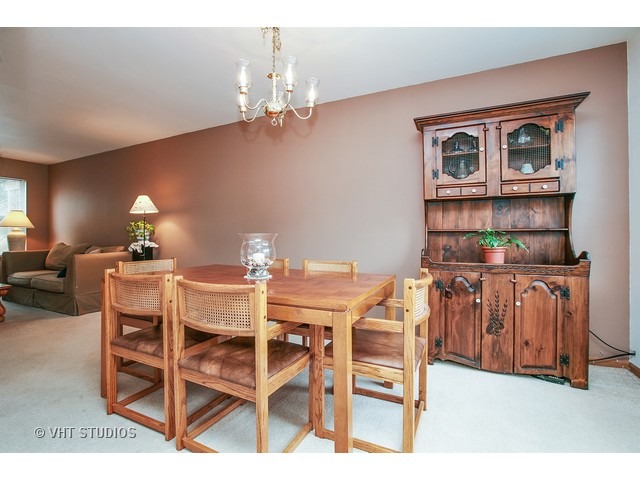 920 Perry Dr, Algonquin, IL 60102 photo 4