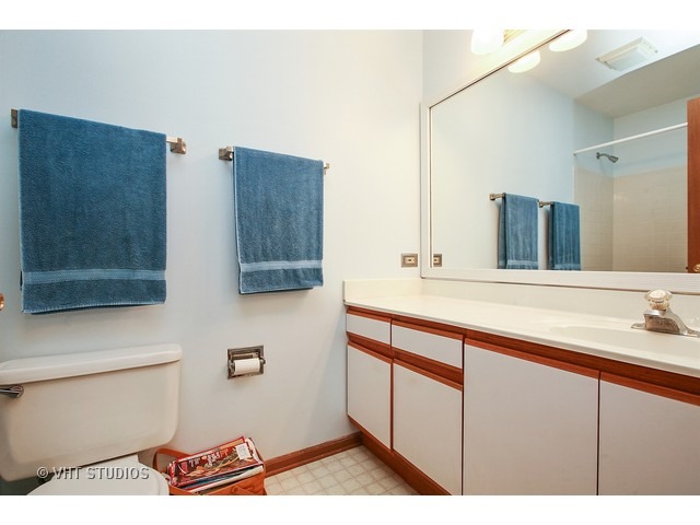 920 Perry Dr, Algonquin, IL 60102 photo 9