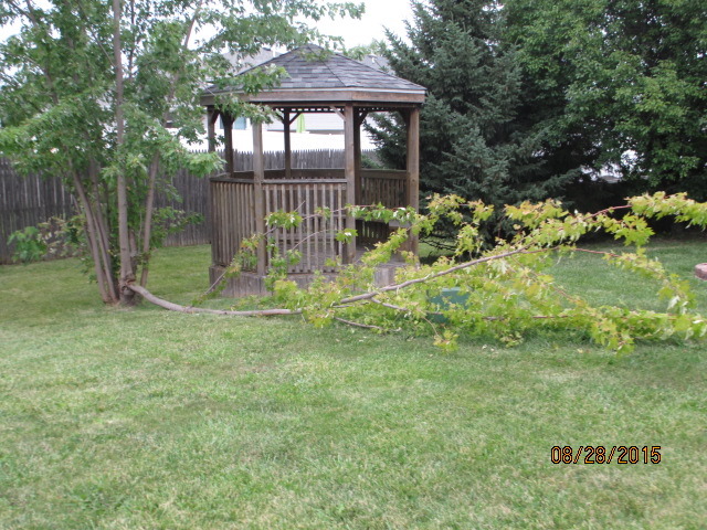 2613 John Bourg Dr, Plainfield, IL 60586 photo 4