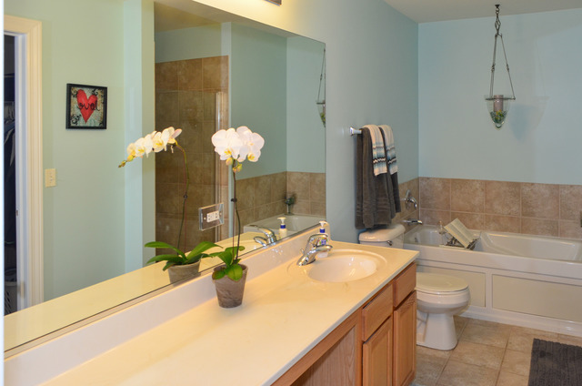458 Vaughn Cir, Aurora, IL 60502 photo 11