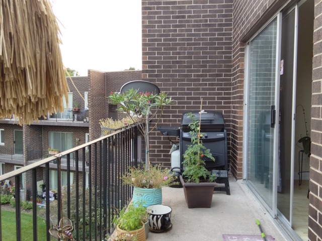 1525 Sander Ct #304, Wheeling, IL 60090 photo 7