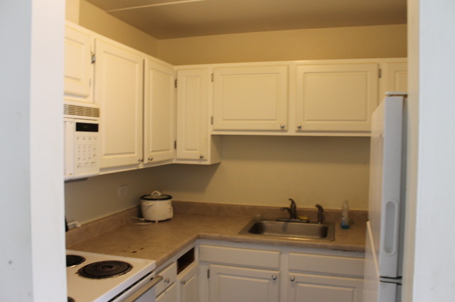 500 Manda Ln #304, Wheeling, IL 60090 photo 3