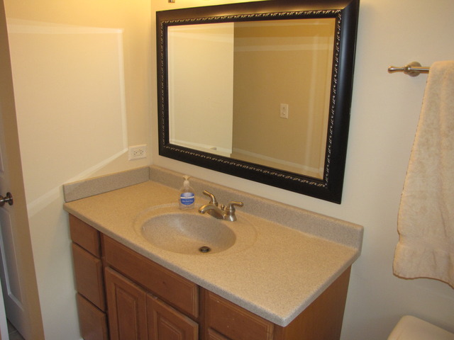320 W Gartner Rd, Naperville, IL 60540 photo 17