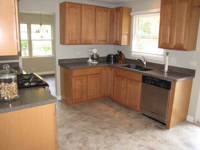 320 W Gartner Rd, Naperville, IL 60540 photo 8