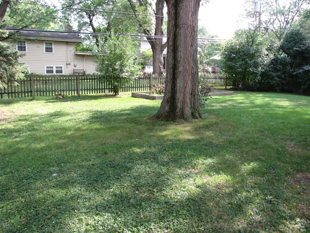 320 W Gartner Rd, Naperville, IL 60540 photo 20