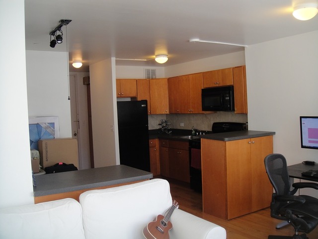 1 E Scott St #406, Chicago, IL 60610 photo 5
