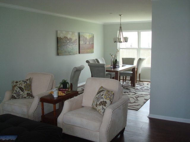 21224 White Cloud Dr, Matteson, IL 60443 photo 3