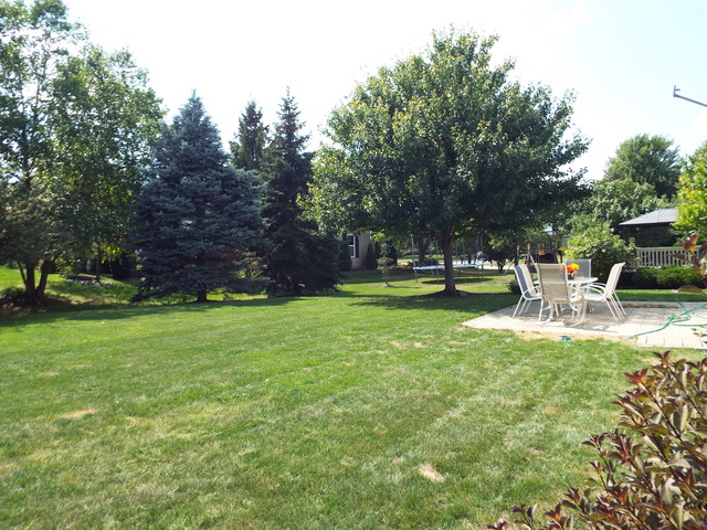 1331 Deerfield Ln, Bartlett, IL 60103 photo 14