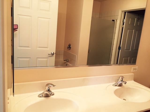 720 Prestwick Ln #303, Wheeling, IL 60090 photo 10