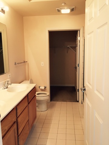 720 Prestwick Ln #303, Wheeling, IL 60090 photo 9