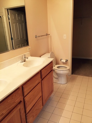 720 Prestwick Ln #303, Wheeling, IL 60090 photo 11