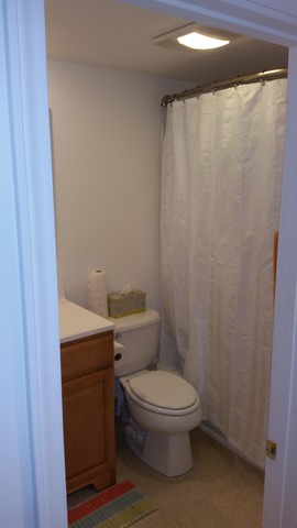 754 Considine Rd, Geneva, IL 60134 photo 12
