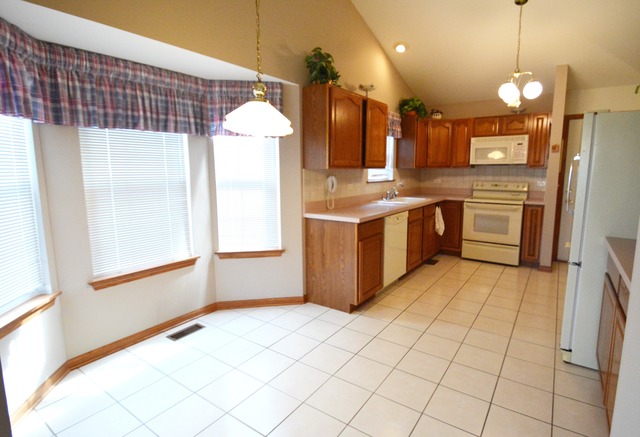 13436 Redberry Cir, Plainfield, IL 60544 photo 9