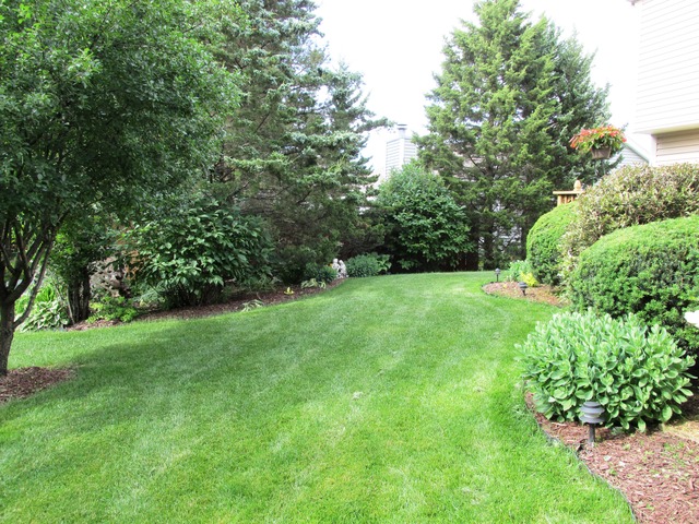 720 Providence Dr, Algonquin, IL 60102 photo 23