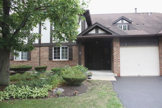 239 Brookside Ln #C, Willowbrook, IL 60527 photo 1