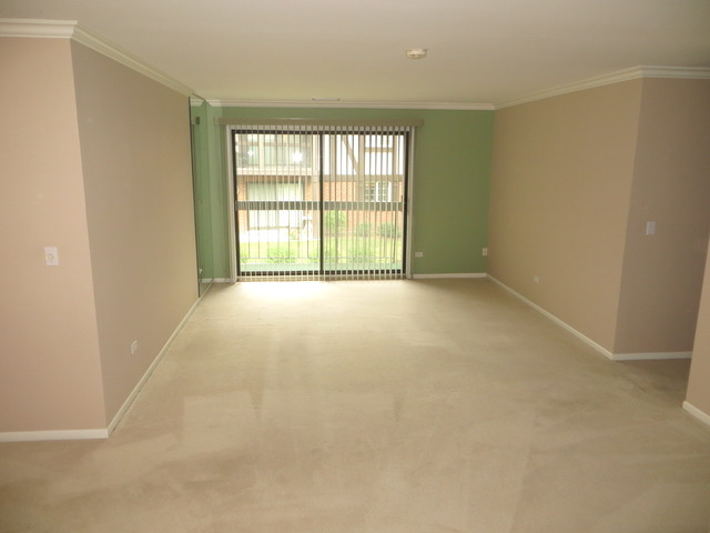 239 Brookside Ln #C, Willowbrook, IL 60527 photo 4