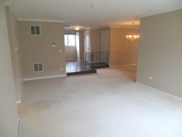 239 Brookside Ln #C, Willowbrook, IL 60527 photo 3