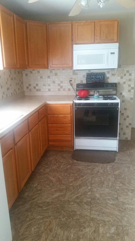 3520 S Morgan St, Steger, IL 60475 photo 6