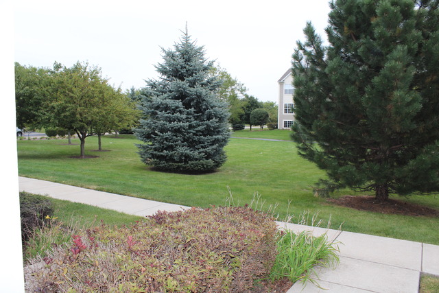 2660 Canyon Dr, Plainfield, IL 60586 photo 20