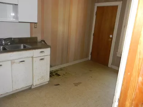 238 E Wilson St, Batavia, IL 60510 photo 6