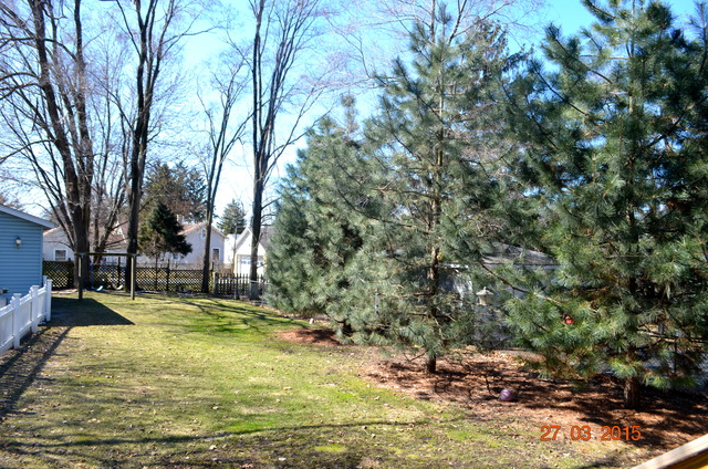 427 E 16th St, Lockport, IL 60441 photo 13