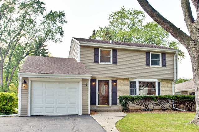 12 N Maple St, Mount Prospect, IL 60056 photo 1