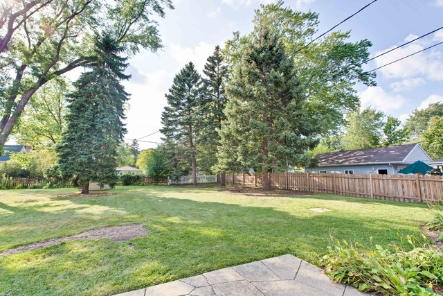 12 N Maple St, Mount Prospect, IL 60056 photo 24