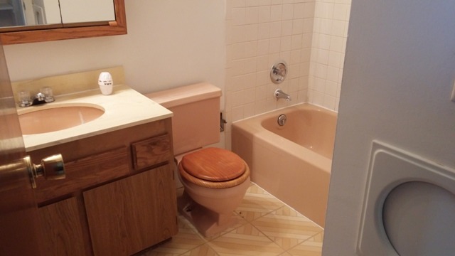 1665 Fairfield Ln, Hoffman Estates, IL 60169 photo 16