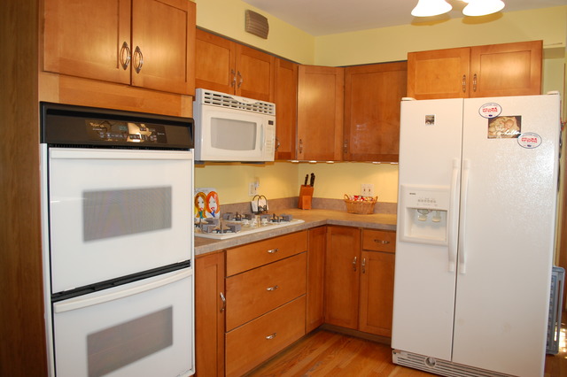 1023 Victoria Ave, Berkeley, IL 60163 photo 10