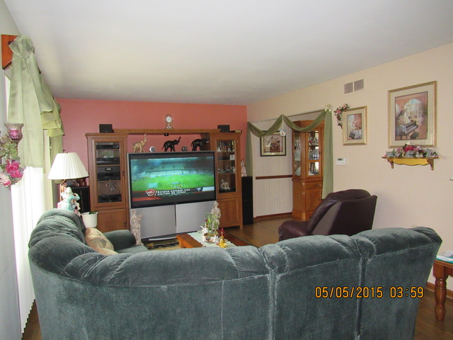 523 N Lyle Ave, Elgin, IL 60123 photo 5