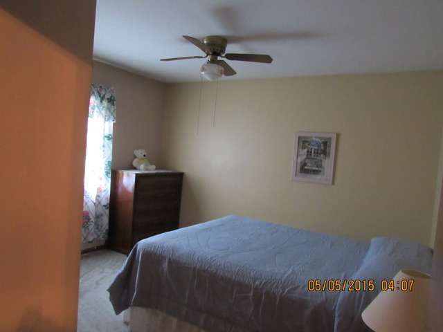 523 N Lyle Ave, Elgin, IL 60123 photo 11