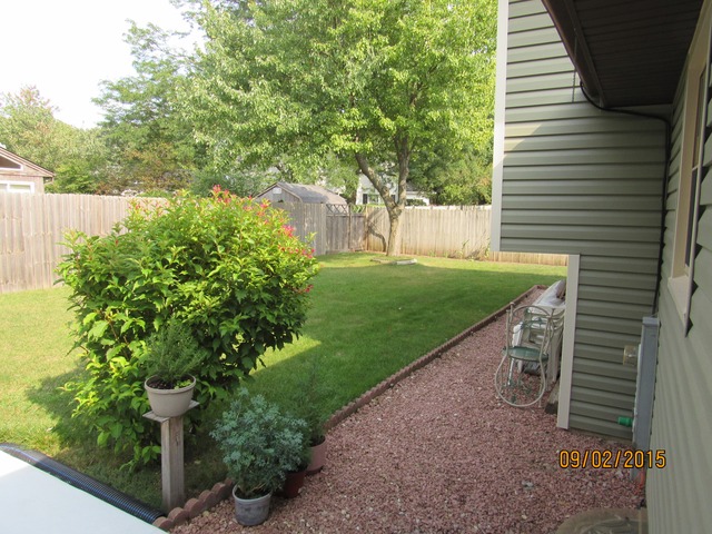 523 N Lyle Ave, Elgin, IL 60123 photo 21