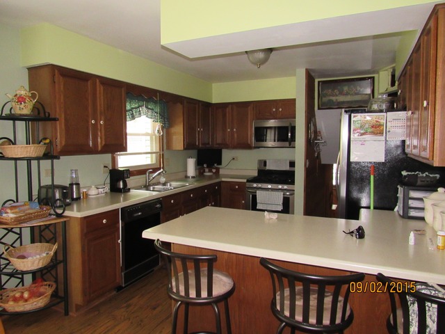 523 N Lyle Ave, Elgin, IL 60123 photo 6