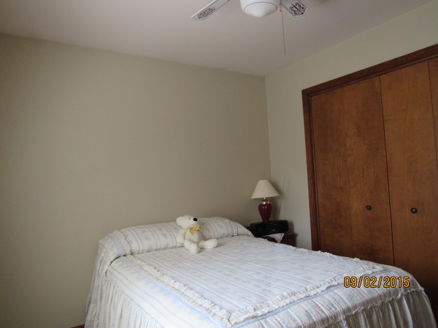 523 N Lyle Ave, Elgin, IL 60123 photo 14