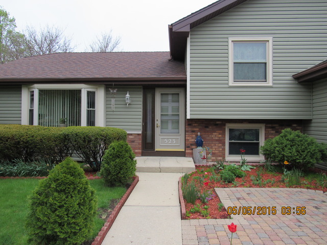 523 N Lyle Ave, Elgin, IL 60123 photo 2