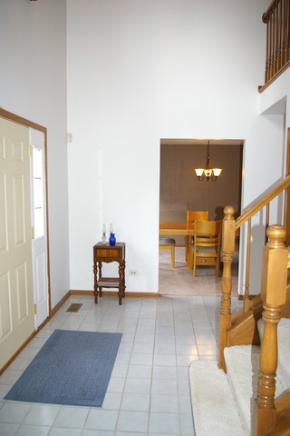 4509 Pond Cir, Plainfield, IL 60586 photo 2