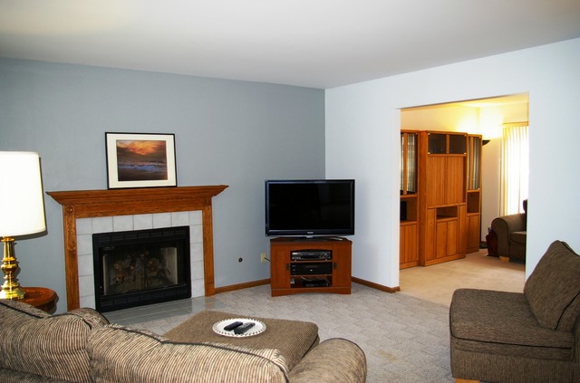 4509 Pond Cir, Plainfield, IL 60586 photo 5