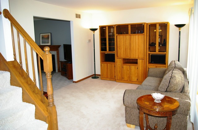 4509 Pond Cir, Plainfield, IL 60586 photo 3