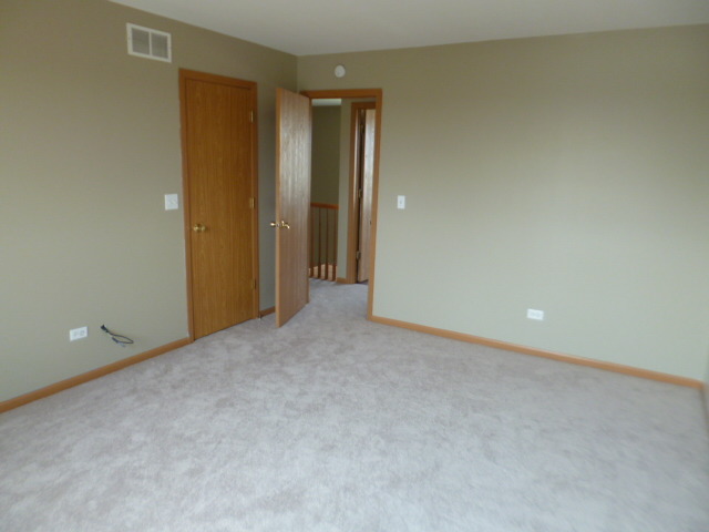 2202 Red Hawk Dr, Plainfield, IL 60586 photo 9