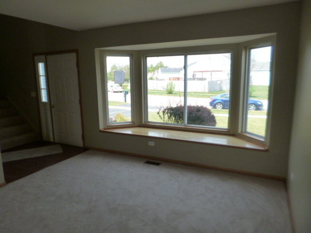 2202 Red Hawk Dr, Plainfield, IL 60586 photo 1
