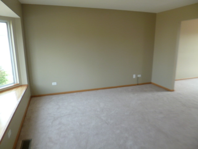 2202 Red Hawk Dr, Plainfield, IL 60586 photo 2