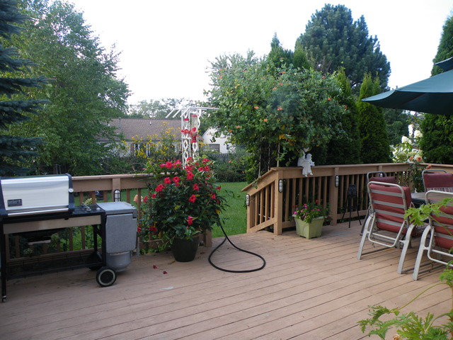 1200 Greenridge Ave, Algonquin, IL 60102 photo 3