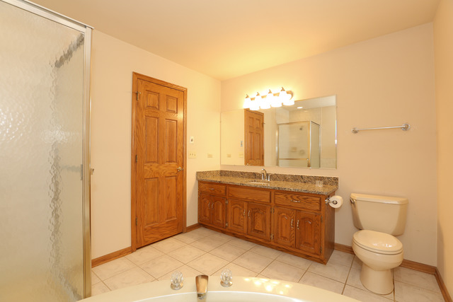 21192 Lisa Ln, Steger, IL 60475 photo 14