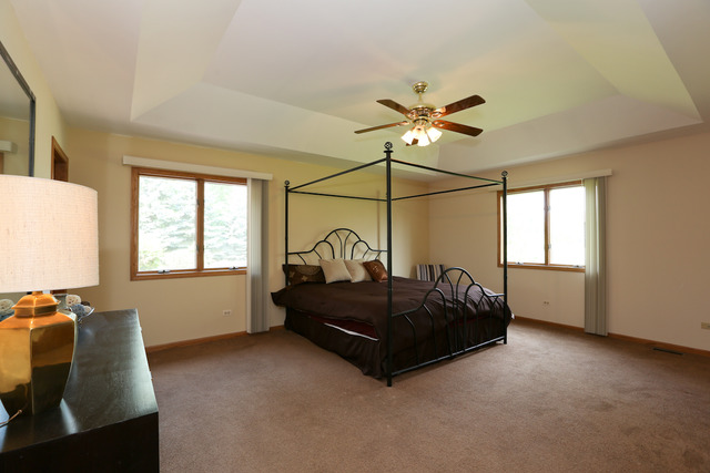 21192 Lisa Ln, Steger, IL 60475 photo 11