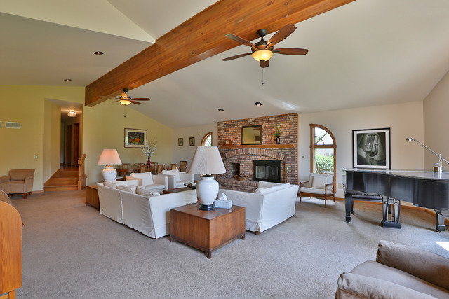 21192 Lisa Ln, Steger, IL 60475 photo 3
