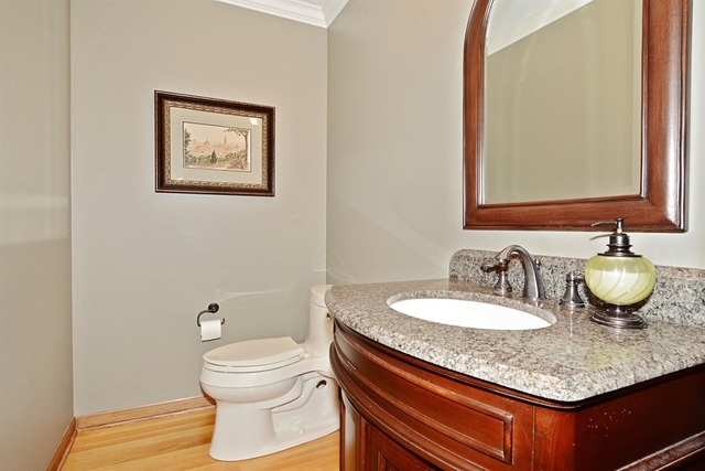 2156 Riverlea Cir, Naperville, IL 60565 photo 11