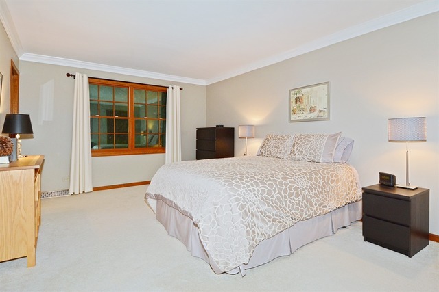 2156 Riverlea Cir, Naperville, IL 60565 photo 13
