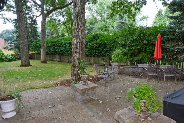 2156 Riverlea Cir, Naperville, IL 60565 photo 23
